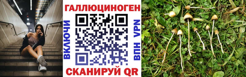 Купить закладки  Монино  Псилоцибиновые грибы GOLDEN TEACHER 