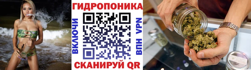 Конопля Bruce Banner  Купить где  Монино 
